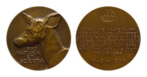 7010140.jpg