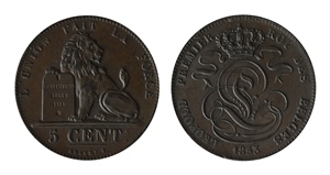 7012156.jpg