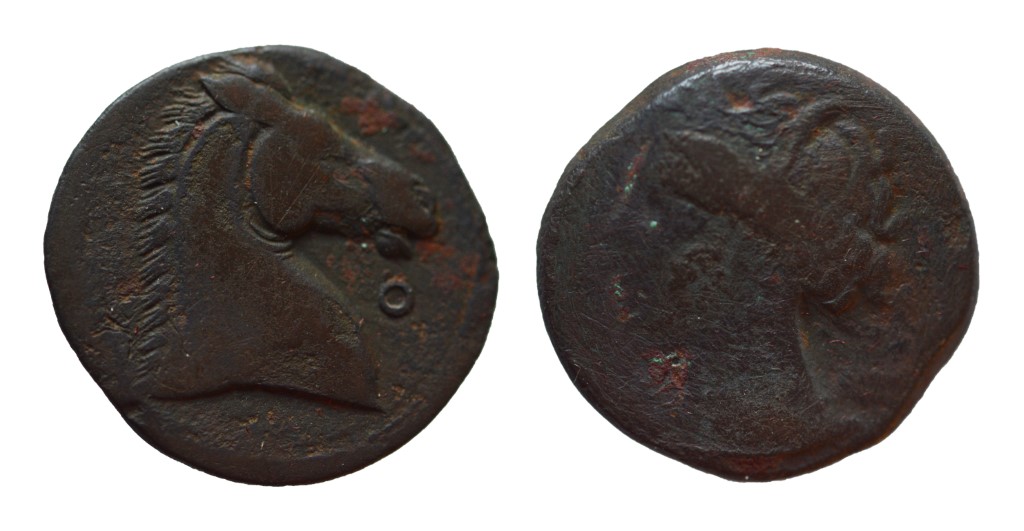 7312028.jpg