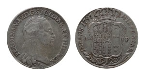 7312258.jpg