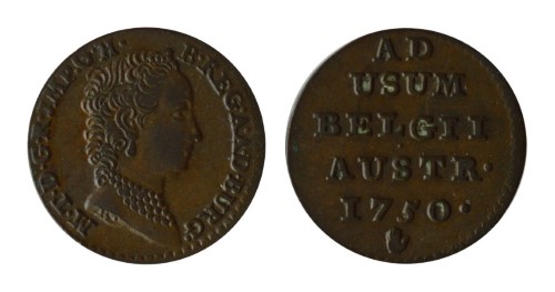 7612205.jpg