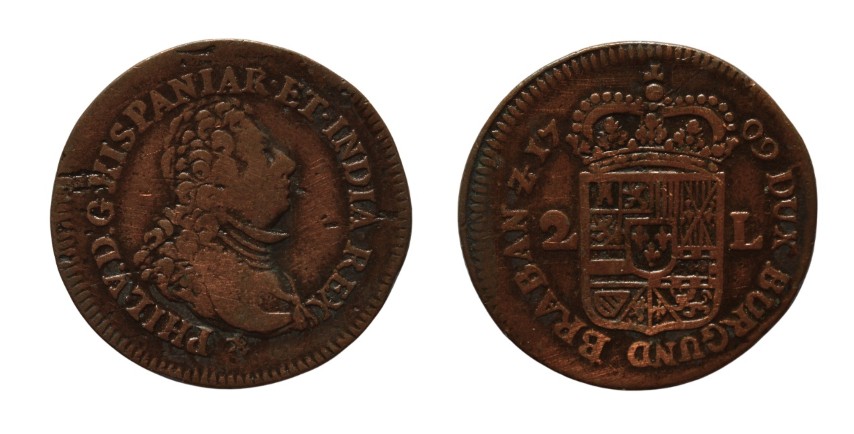 7712117.jpg